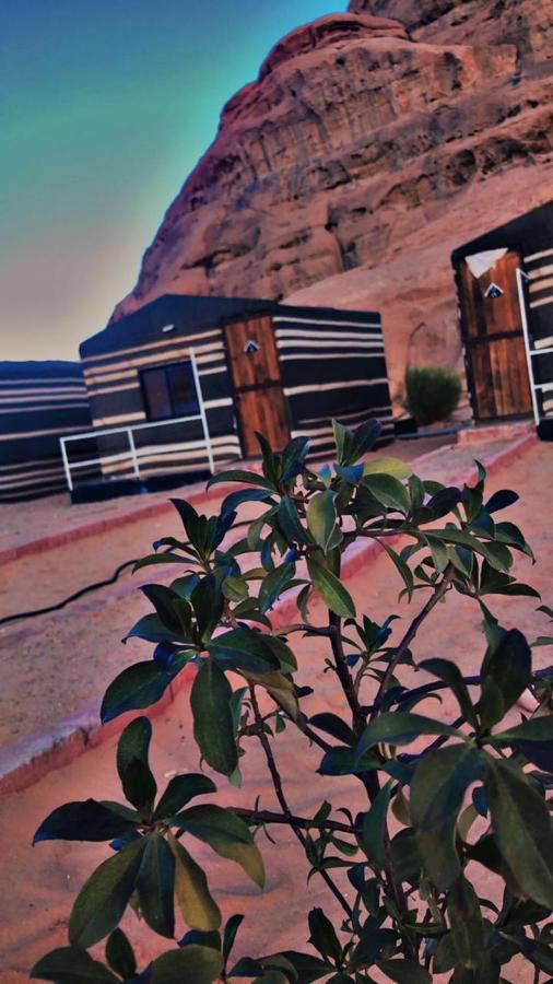 Oryx Camp 호텔 와디럼 외부 사진